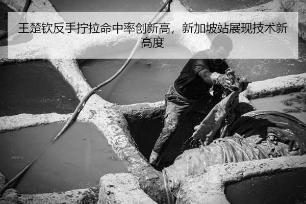 王楚钦反手拧拉命中率创新高，新加坡站展现技术新高度 | 6686.com