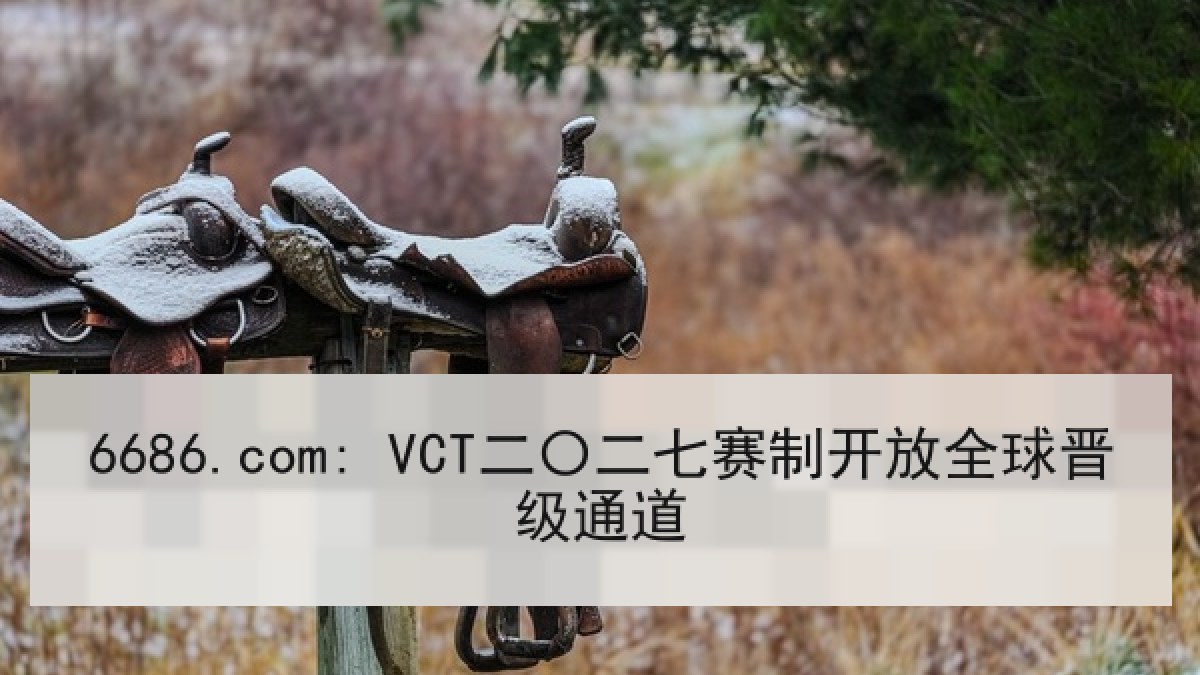 6686.com: VCT二〇二七赛制开放全球晋级通道