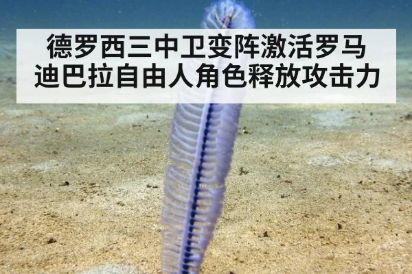 德罗西三中卫变阵激活罗马 迪巴拉自由人角色释放攻击力